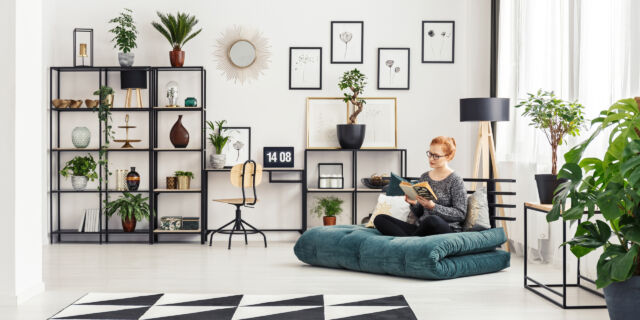 Kerstboom eruit, nieuwe kamerplanten soorten erin!