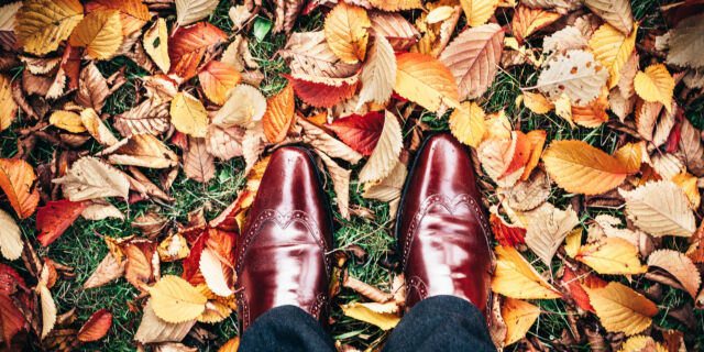 Zo maak je je tuin klaar voor de herfst! (Deel 1)