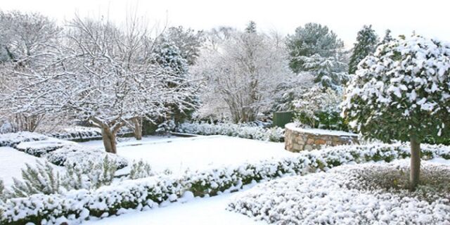 Tuinonderhoud in het najaar - tips voor je tuin winterklaar maken