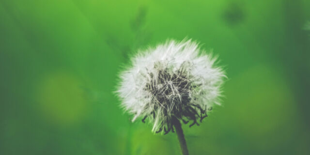 Corona Protocol ALLSAFE Mini Opslag