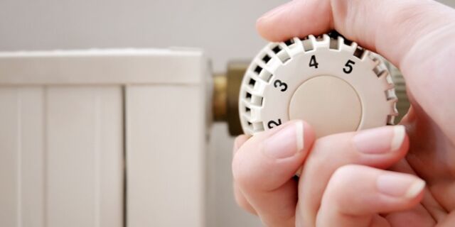 Groen wonen – Zo maak je jouw huis groener (en je kosten lager)