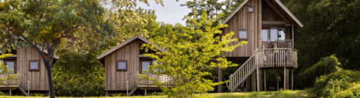 Van villa naar tiny house: Eveline heeft nu meer ruimte over voor leuke dingen