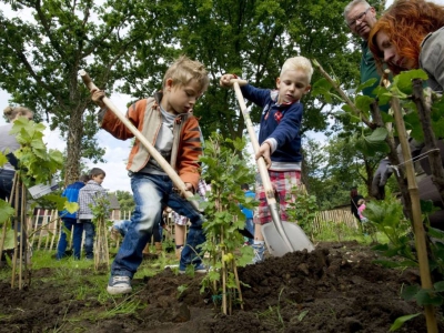 Een moestuintje voor de kleine(n)
